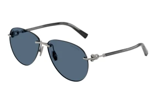 Vooraanzicht Tiffany TF3124 (600380)