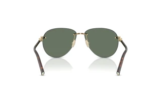 Achteraanzicht Tiffany TF3124 (60213H)