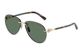 Vooraanzicht Tiffany TF3124 (60213H)