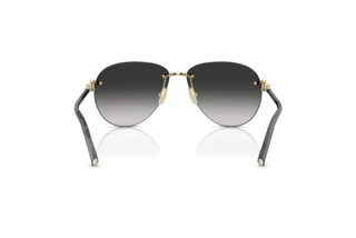 Achteraanzicht Tiffany TF3124 (62413C)