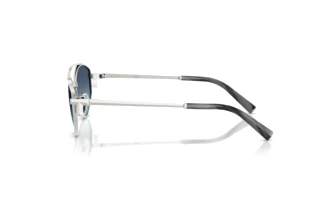 Zijaanzicht Tiffany TF3125 (60019S)