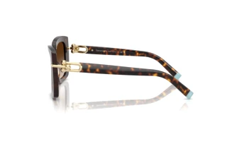 Zijaanzicht Tiffany TF4199 (80153B)