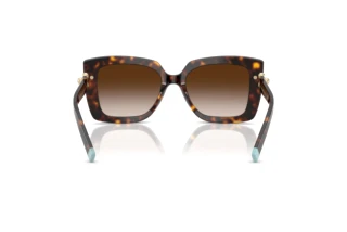 Achteraanzicht Tiffany TF4199 (80153B)