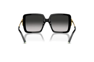 Achteraanzicht Tiffany TF4212U (80013C)