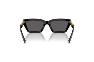 Achteraanzicht Tiffany TF4213 (8001S4)