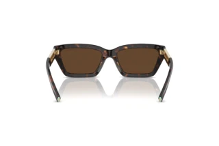 Achteraanzicht Tiffany TF4213 (80153G)