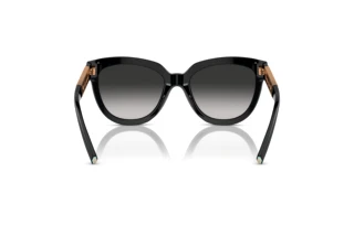 Achteraanzicht Tiffany TF4215 (80013C)