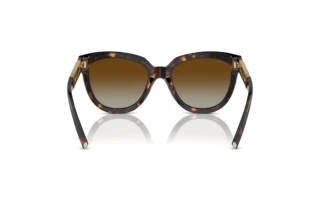 Achteraanzicht Tiffany TF4215 (8015T5)