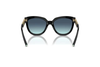 Achteraanzicht Tiffany TF4215 (83429S)