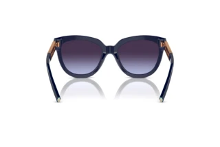 Achteraanzicht Tiffany TF4215 (83964Q)