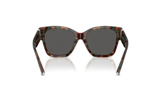 Achteraanzicht Tiffany TF4216 (8442S4)