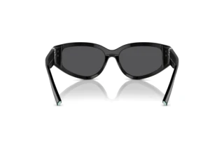 Achteraanzicht Tiffany TF4217 (80016G)