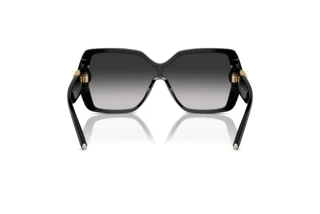 Achteraanzicht Tiffany TF4219 (80013C)