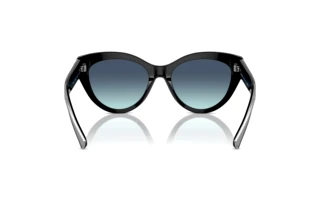 Achteraanzicht Tiffany TF4220 (80019S)