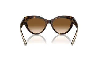 Achteraanzicht Tiffany TF4220 (801551)