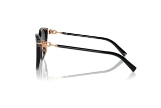 Zijaanzicht Tiffany TF4223D (80013C)