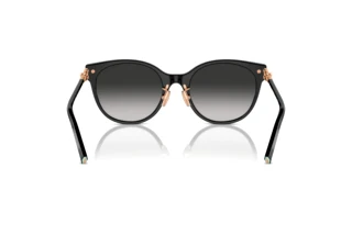 Achteraanzicht Tiffany TF4223D (80013C)