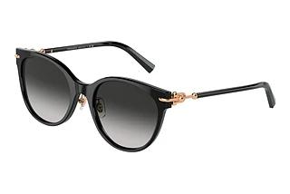 Tiffany TF4223D 80013C Black