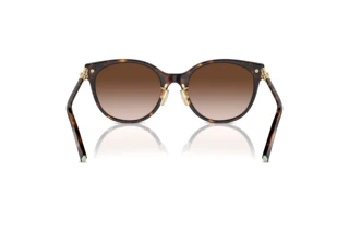 Achteraanzicht Tiffany TF4223D (80153B)