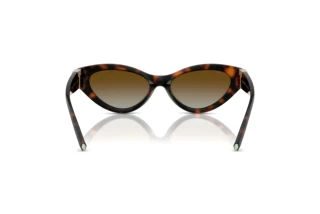Achteraanzicht Tiffany TF4225U (8015T5)