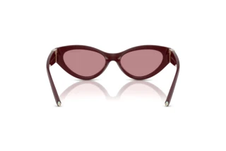 Achteraanzicht Tiffany TF4225U (838930)