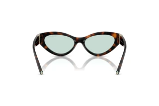 Achteraanzicht Tiffany TF4225U (8429D9)