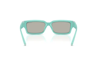 Achteraanzicht Tiffany TF4226U (83886G)