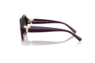 Zijaanzicht Tiffany TF4227BU (84273C)