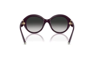 Achteraanzicht Tiffany TF4227BU (84273C)
