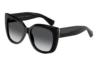 Tiffany TF4229 8001T3 Polar Grey GradientBlack