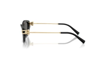 Zijaanzicht Tiffany TF4231U (800181)