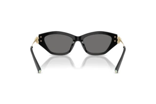 Achteraanzicht Tiffany TF4231U (800181)