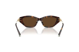 Achteraanzicht Tiffany TF4231U (80153G)