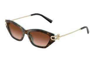 Vooraanzicht Tiffany TF4231U (81343B)