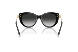 Achteraanzicht Tiffany TF4232 (80013C)