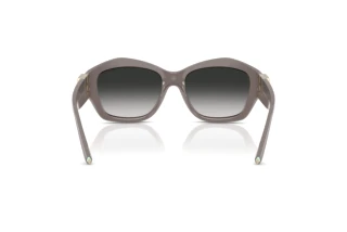 Achteraanzicht Tiffany TF4233U (84013C)