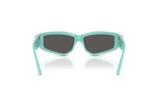 Achteraanzicht Tiffany TF4234U (8388S4)