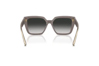 Achteraanzicht Tiffany TF4235 (84013C)