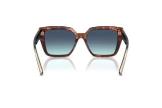 Achteraanzicht Tiffany TF4235 (84219S)