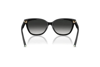 Achteraanzicht Tiffany TF4237B (80013C)