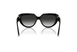 Achteraanzicht Tiffany TF4238U (80013C)