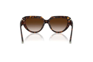 Achteraanzicht Tiffany TF4238U (80153B)