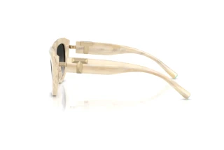 Zijaanzicht Tiffany TF4238U (84313C)