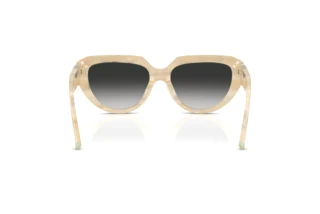 Achteraanzicht Tiffany TF4238U (84313C)