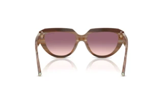 Achteraanzicht Tiffany TF4238U (84358D)