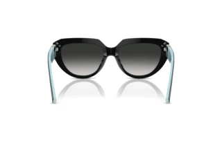 Achteraanzicht Tiffany TF4238U (84653C)