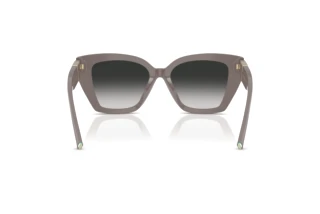 Achteraanzicht Tiffany TF4239U (84013C)
