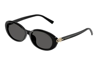 Vooraanzicht Tiffany TF4242D (8361S4)