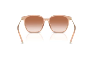 Achteraanzicht Tiffany TF4244D (826813)