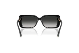 Achteraanzicht Tiffany TF4249 (80013C)